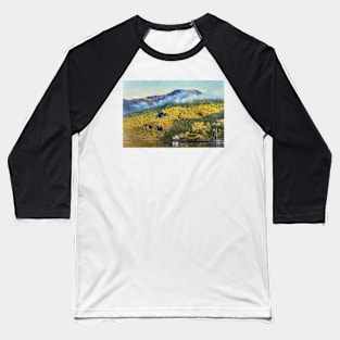 The View From Flåm Baseball T-Shirt